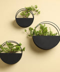 Wall planters Indoor India